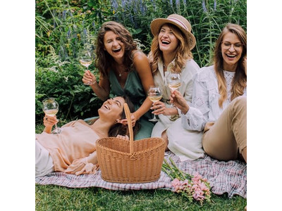 ピクニックバスケット 輸入輸出 ストライプパッケージ 木製蓋付きクーラー