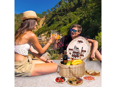 小型ピクニックバスケット RTS収納 ハンドル付きサービス 4人用形状ホーム